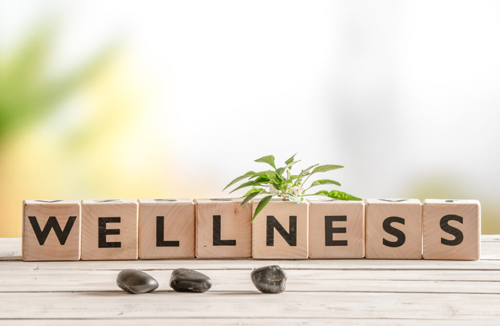 wellness-obespechennost-ili-balans-02